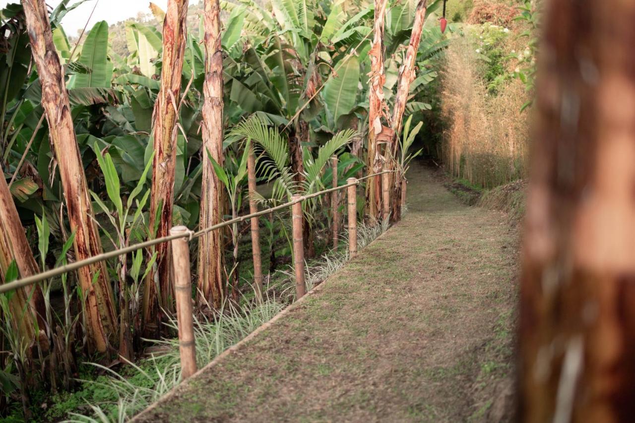 Villa Chami Glamping Manizales Exterior foto
