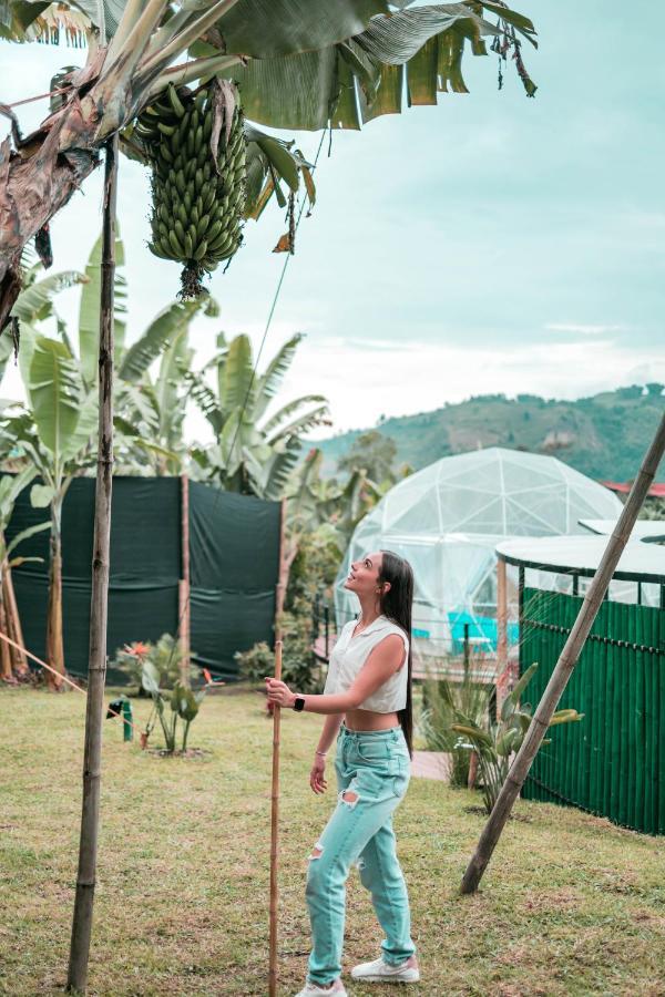 Villa Chami Glamping Manizales Exterior foto