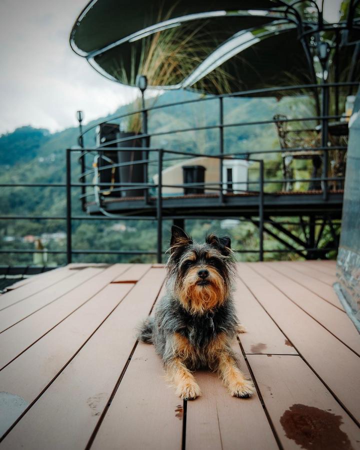 Villa Chami Glamping Manizales Exterior foto