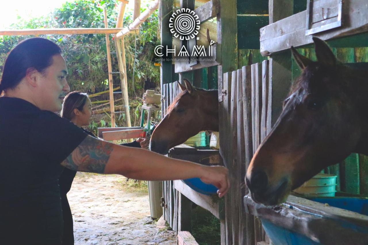 Villa Chami Glamping Manizales Exterior foto